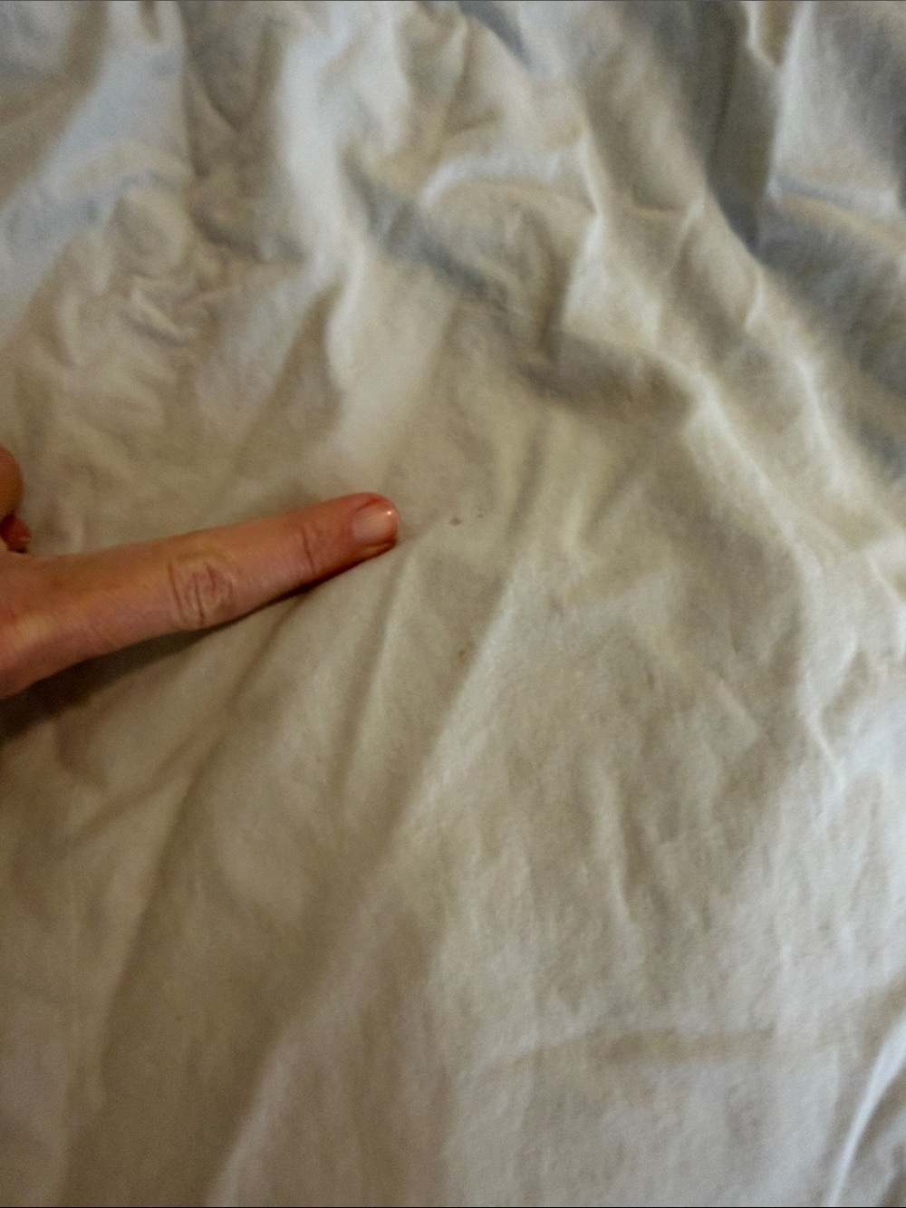Gray Ruffled Queen Sheet Set - Picture 7 of 7